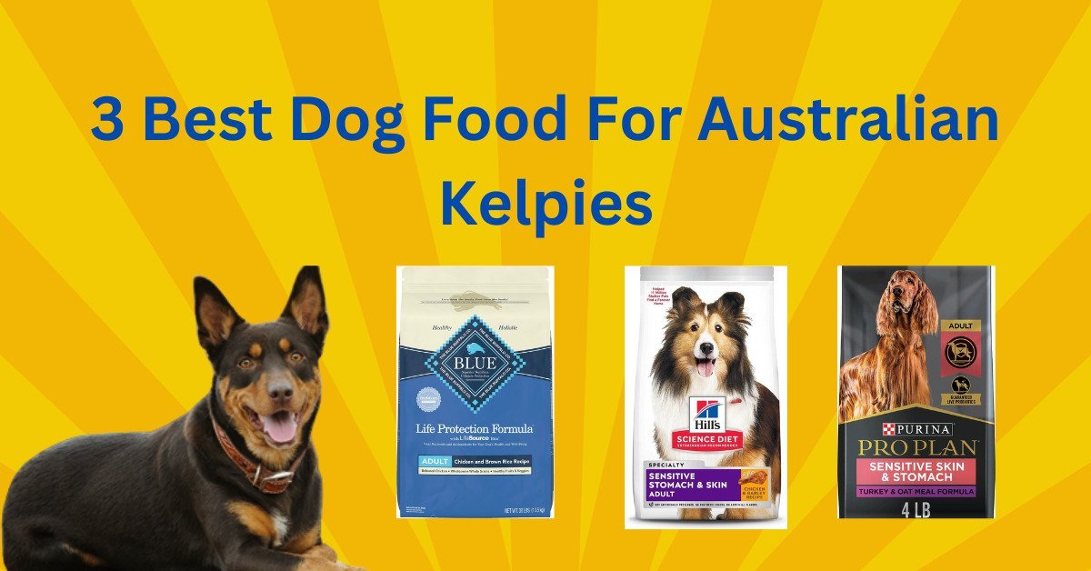 Best Dog Food For Australian Kelpies