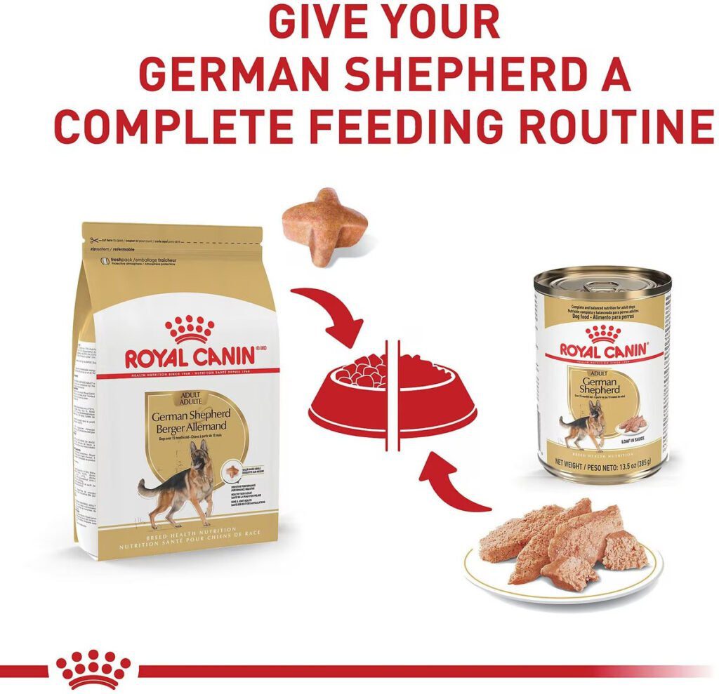 Best Dog Food for Border Terriers
