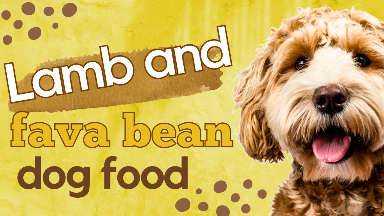 lamb and fava bean dog food