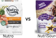 Nutrisource vs Nutro