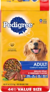 What is the Best Dog Food