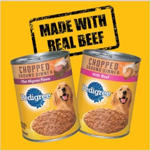 What is the Best Dog Food