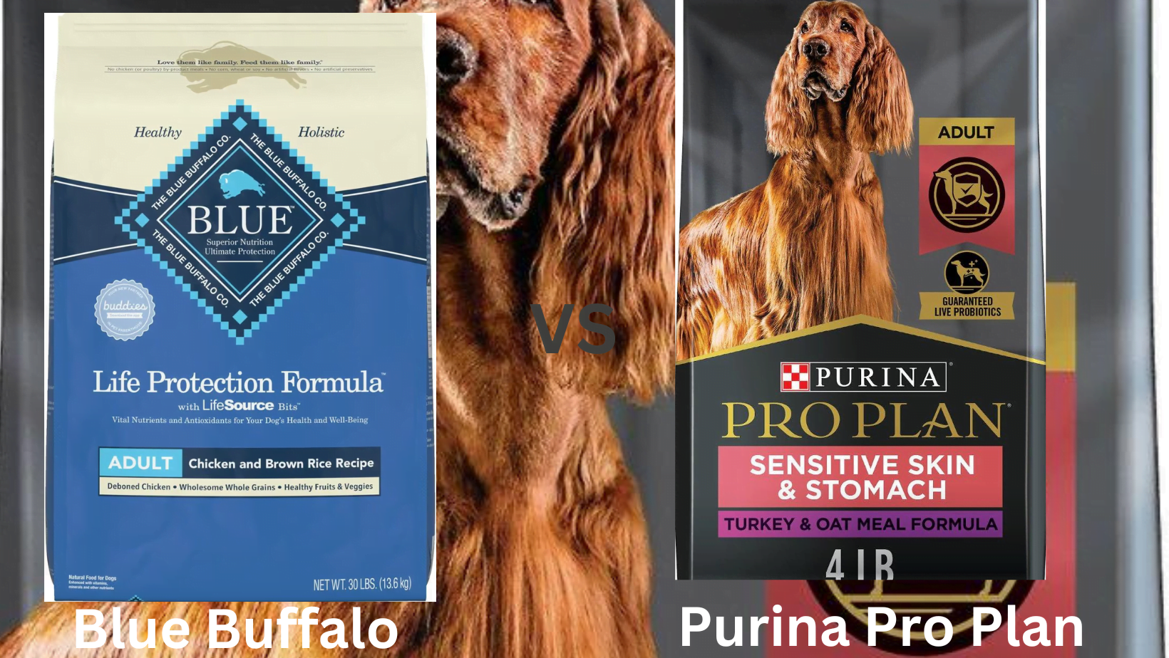Purina Pro Plan vs Blue Buffalo: Unveiling the Best for Your Pup
