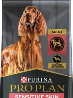 Purina Pro Plan vs. Blue Buffalo: Choosing the Best Food for Your Pet