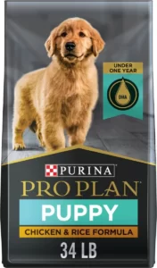 Best Puppy Food for Portuguese Water Dogs