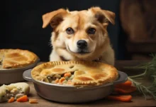 Can Dogs Eat Chicken Pot Pies