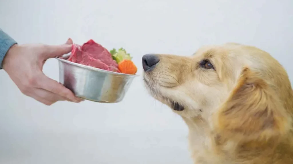 Is a raw diet better for dogs?
